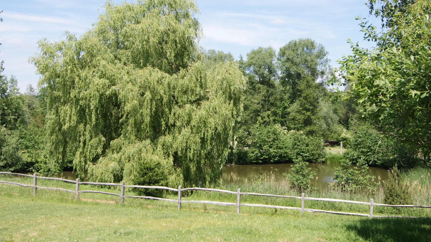 willow-camp-beauvechain-kkbne