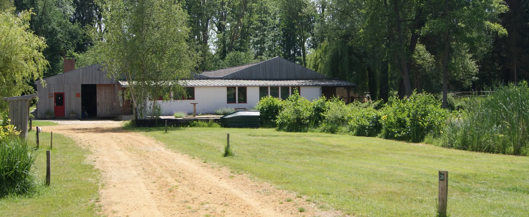 Willow Camp