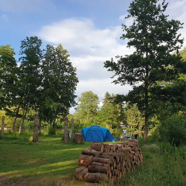 Willow Camp