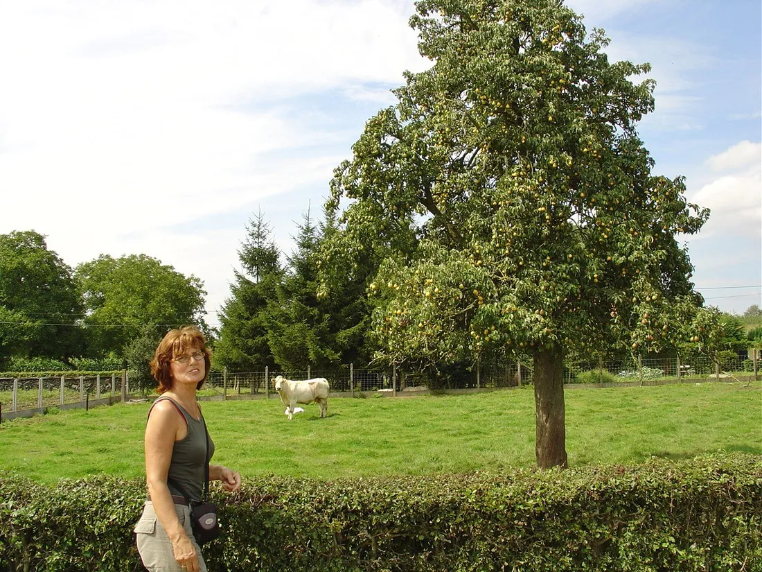 stille-kempen-diest-yyo2k