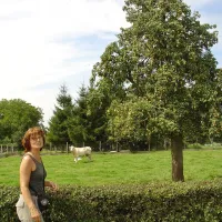 stille-kempen-diest-yyo2k