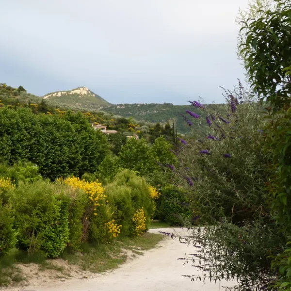 la-fontaine-dhannibal-buis-les-baronnies-tdbmg