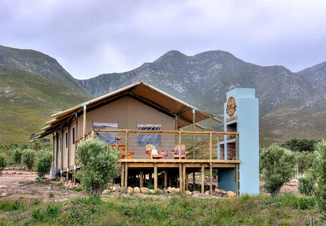 africamps-at-stanford-hills-weltevreden-farm-stanford-lutwf