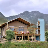 africamps-at-stanford-hills-weltevreden-farm-stanford-lutwf