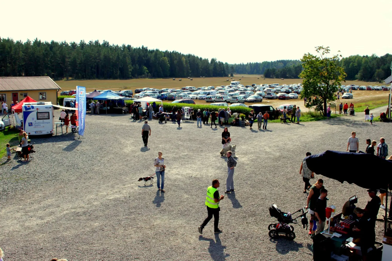 vikbolands-struts-vikbolandet-5shcn