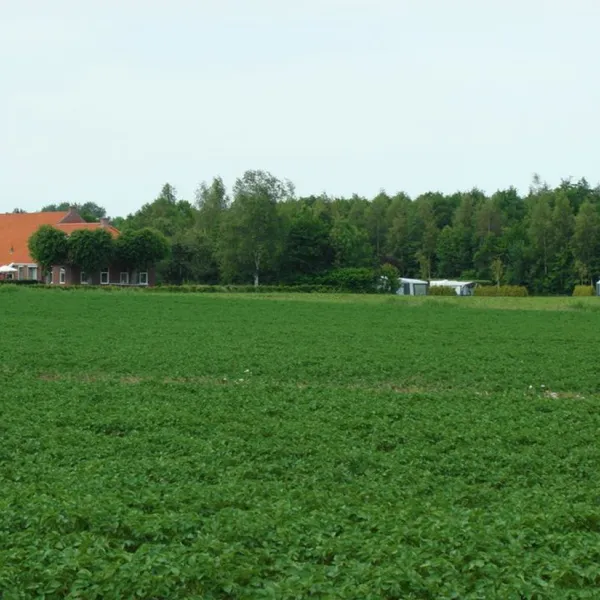 minicamping-denemarken-nederland-ockcq