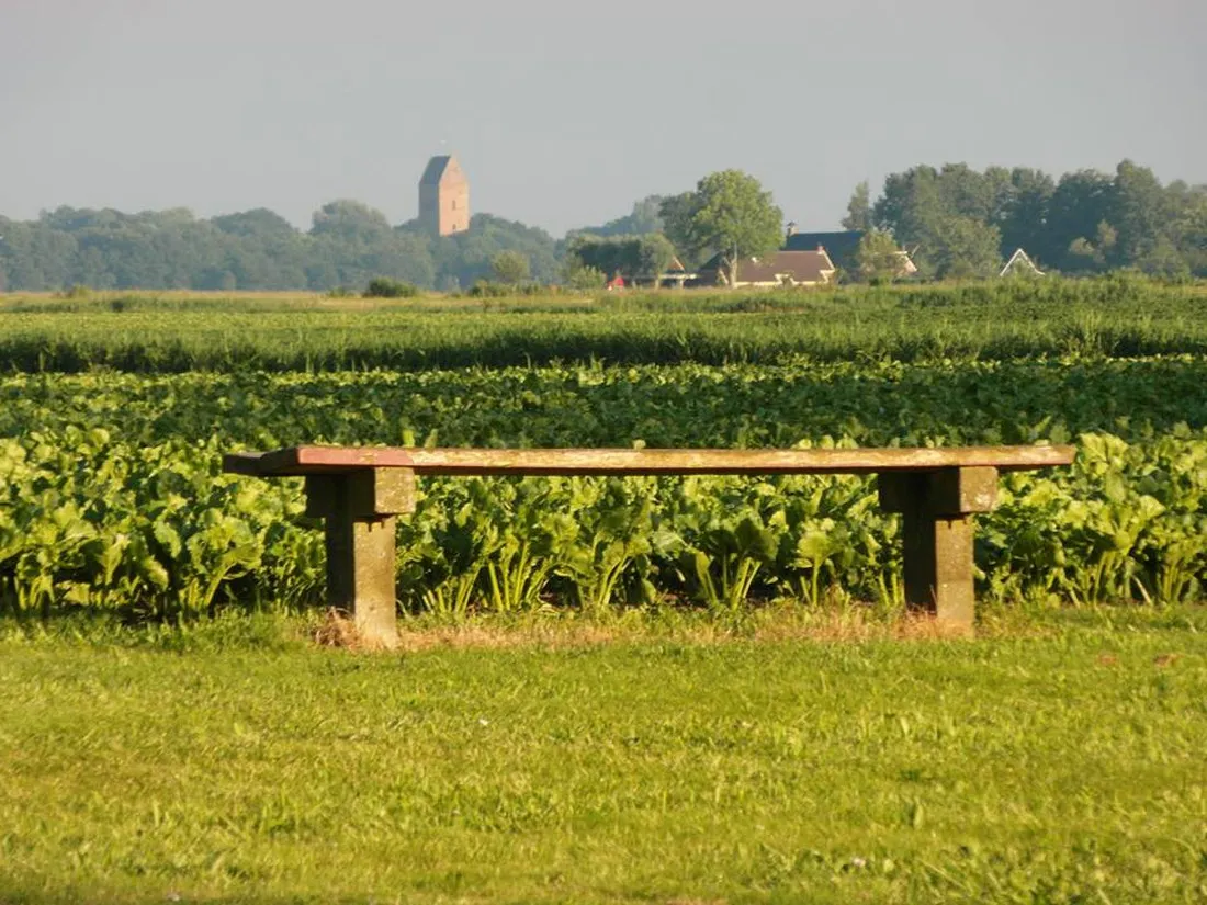 minicamping-denemarken-nederland-ynpbl