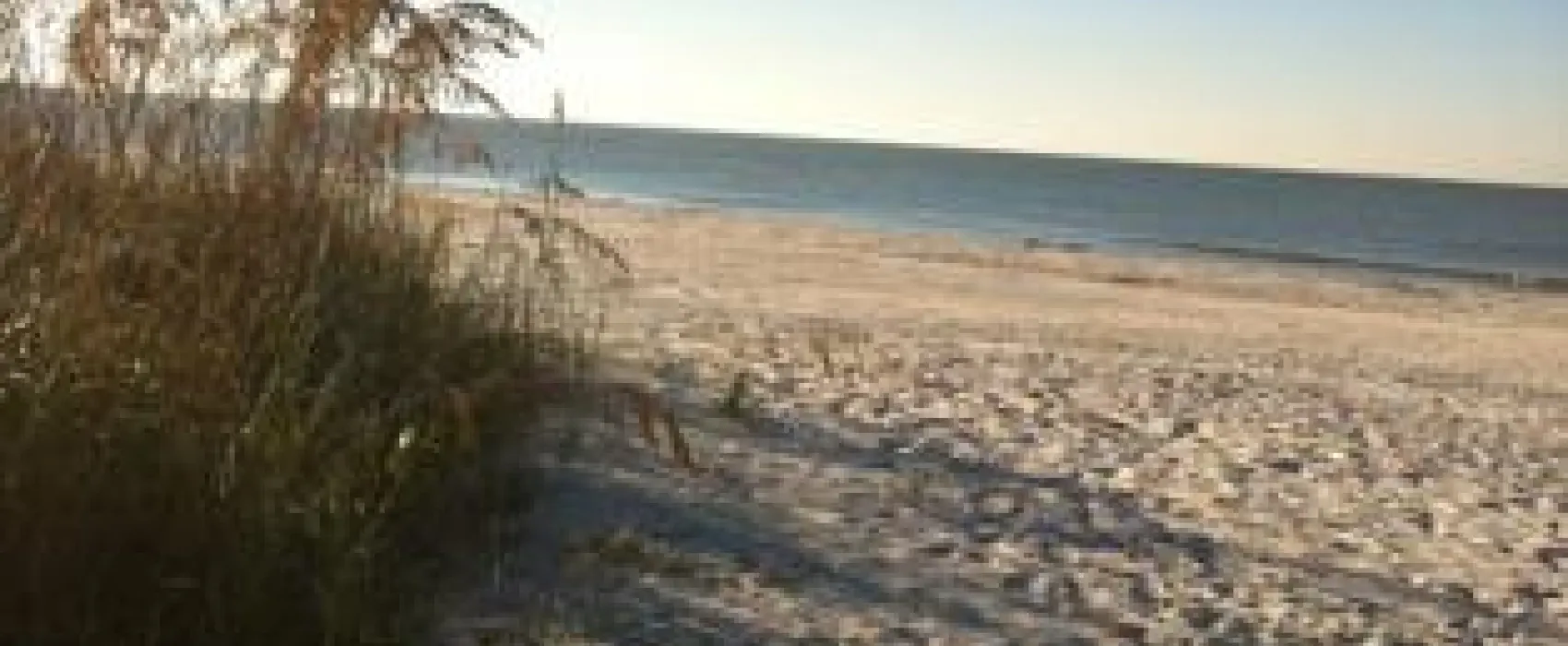 Red Coconut RV Park