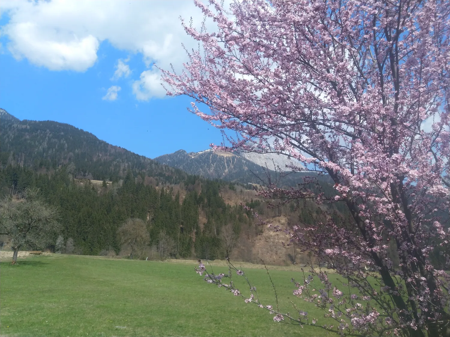 MVIMG_20200411_134228