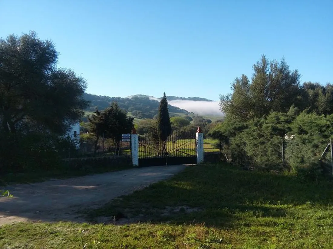 los-gazules-spanje-nsfia