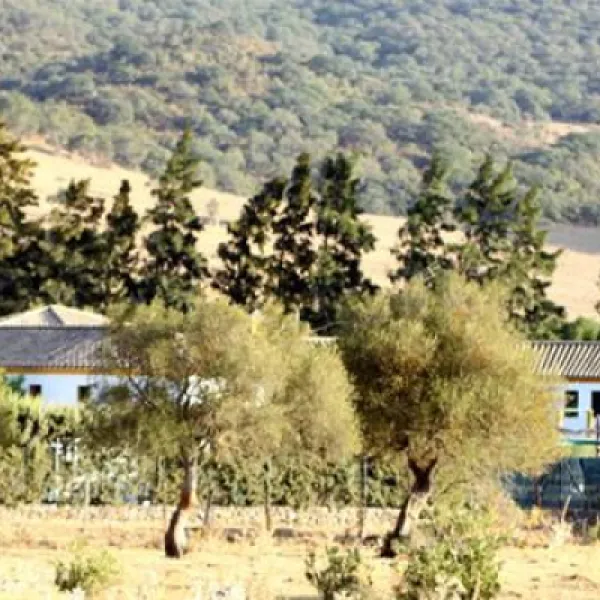 los-gazules-spanje-utccj