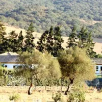 los-gazules-spanje-utccj