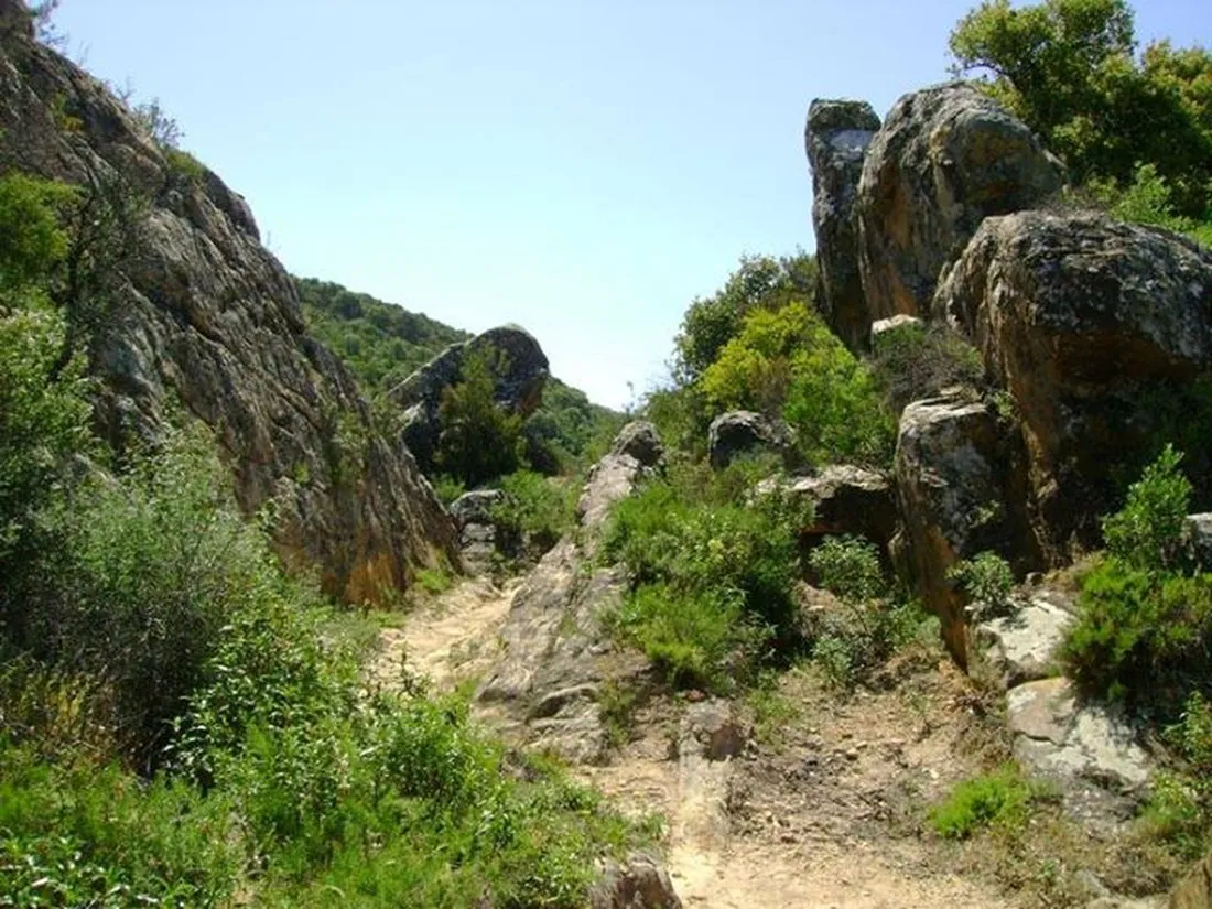 los-gazules-spanje-xjwsn