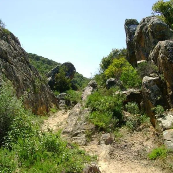 los-gazules-spanje-xjwsn