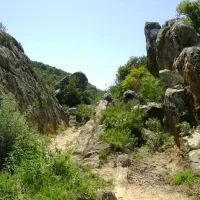 los-gazules-spanje-xjwsn