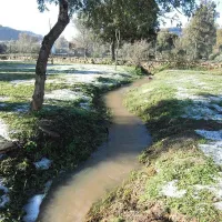 los-gazules-spanje-yj44r