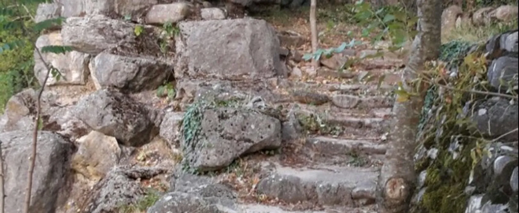 La Chapoulière