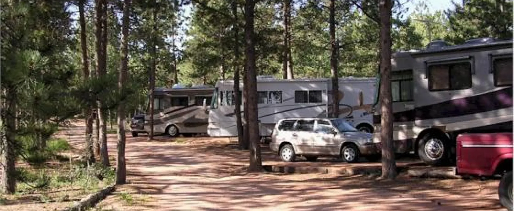 Bristlecone Lodge
