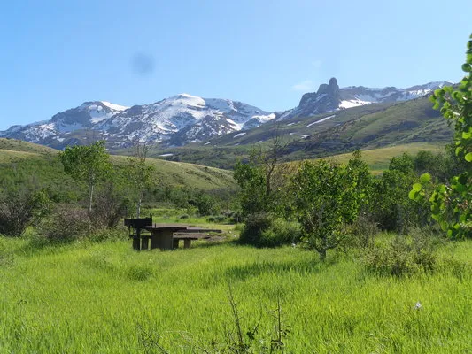 angel-creek-campground-wells-ukxxn