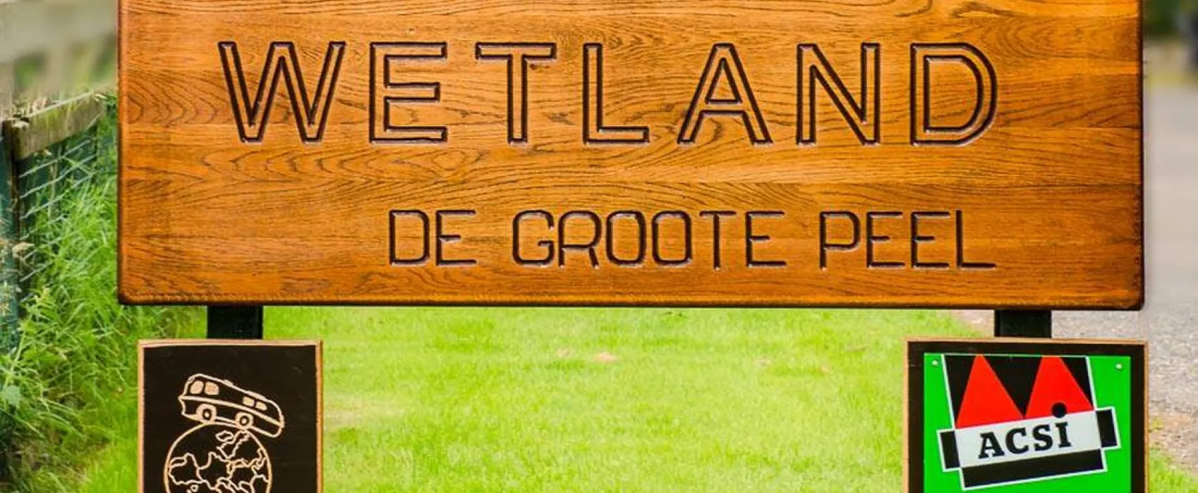 Wetland