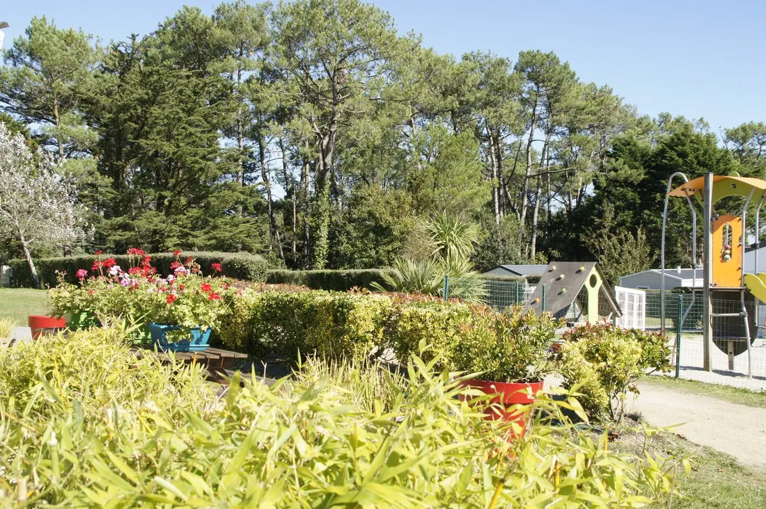 armorique-telgruc-sur-mer-mzbom