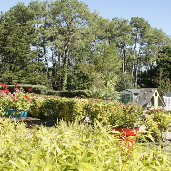 armorique-telgruc-sur-mer-mzbom