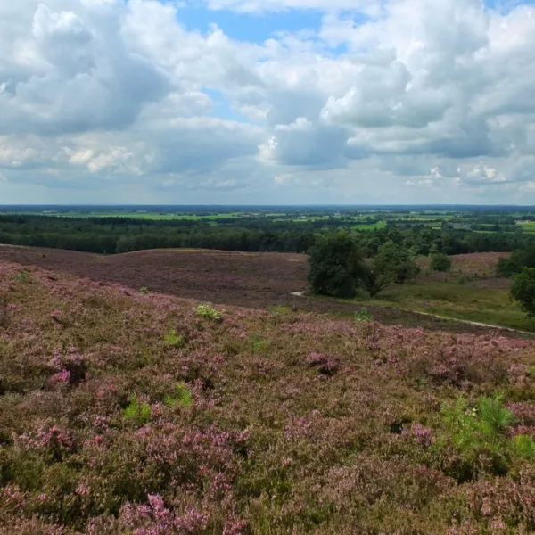 natuurkampeerterrein-de-rietkraag-lemelerveld-iuzxs