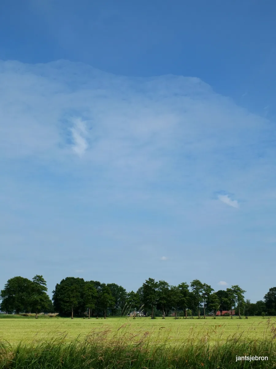 natuurkampeerterrein-de-rietkraag-lemelerveld-mc4kg
