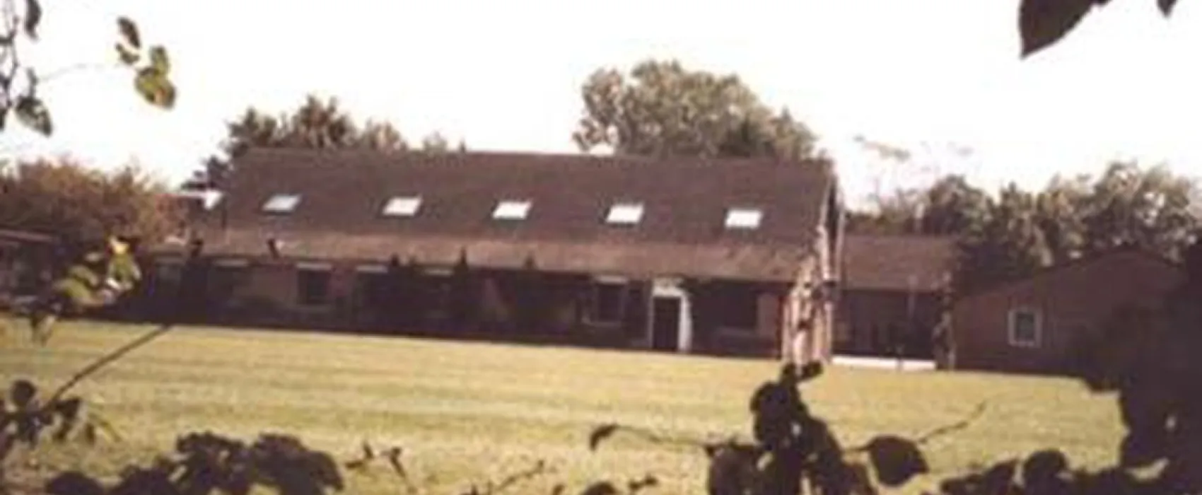 De Olmen