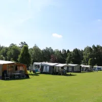 hoeve-kroep-an-nederland-6x9zs