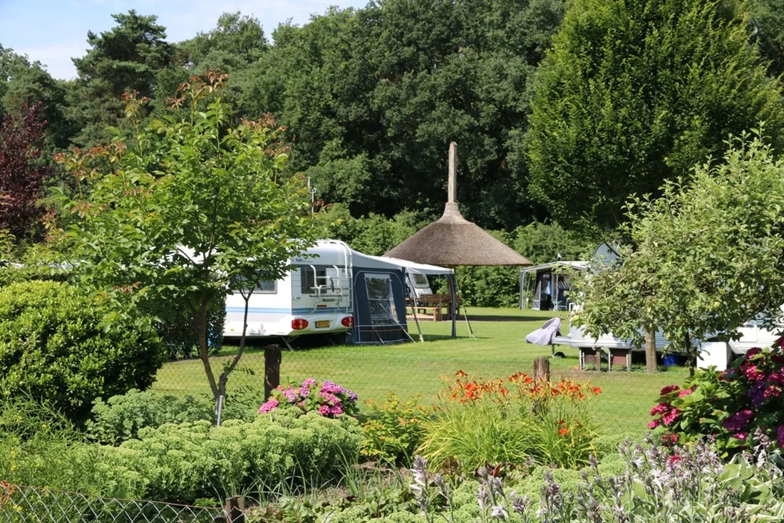 hoeve-kroep-an-nederland-iwh4m