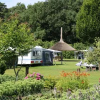 hoeve-kroep-an-nederland-iwh4m