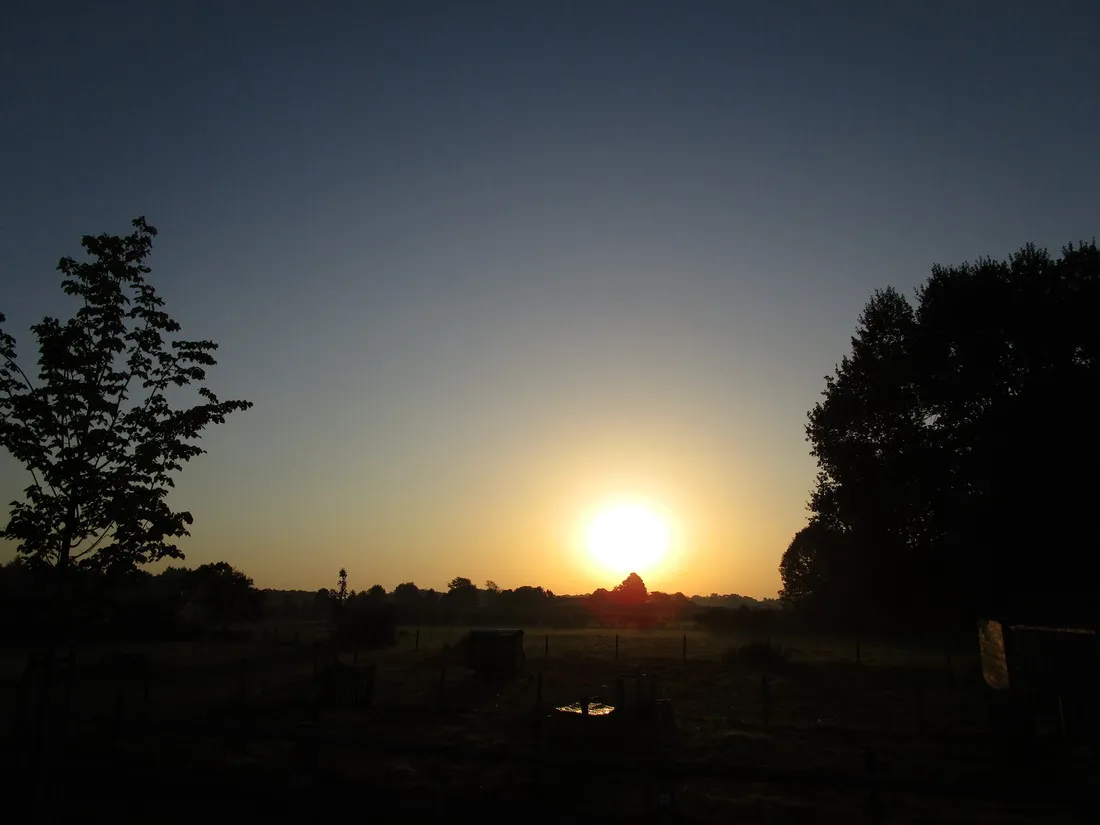 hoeve-kroep-an-nederland-qq7vr