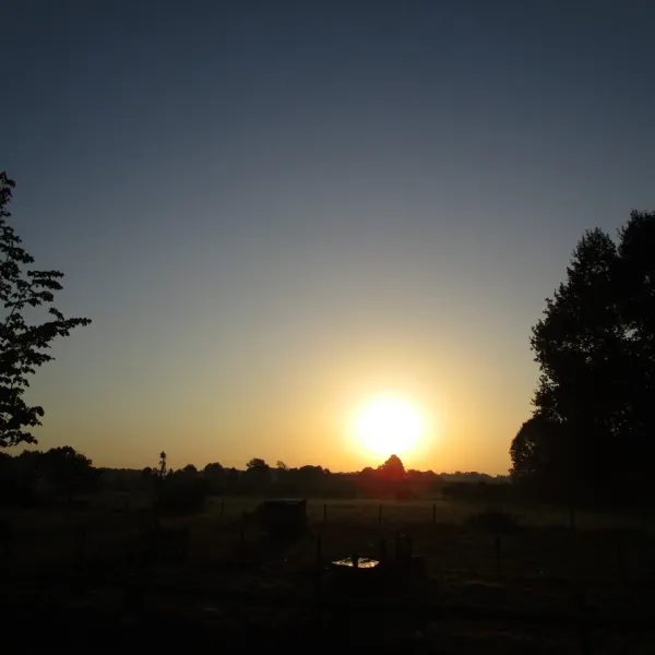 hoeve-kroep-an-nederland-qq7vr