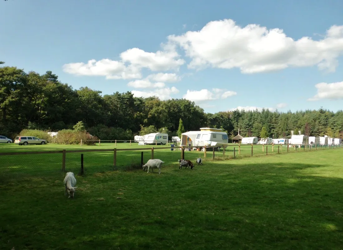 hoeve-kroep-an-nederland-xgnt7
