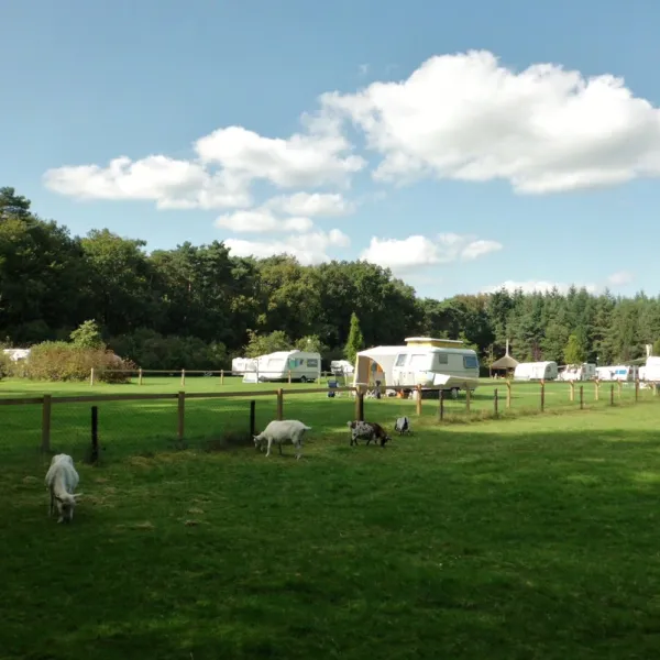 hoeve-kroep-an-nederland-xgnt7