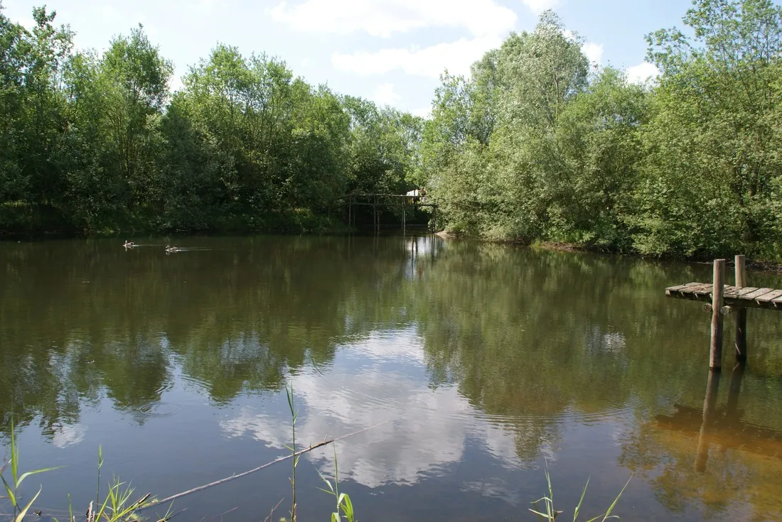 natuurkampeerterrein-de-duiventoren-dorst-77tf3