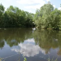 natuurkampeerterrein-de-duiventoren-dorst-77tf3