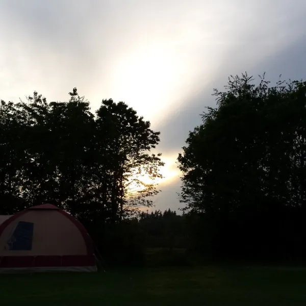 natuurkampeerterrein-de-duiventoren-dorst-ambsy
