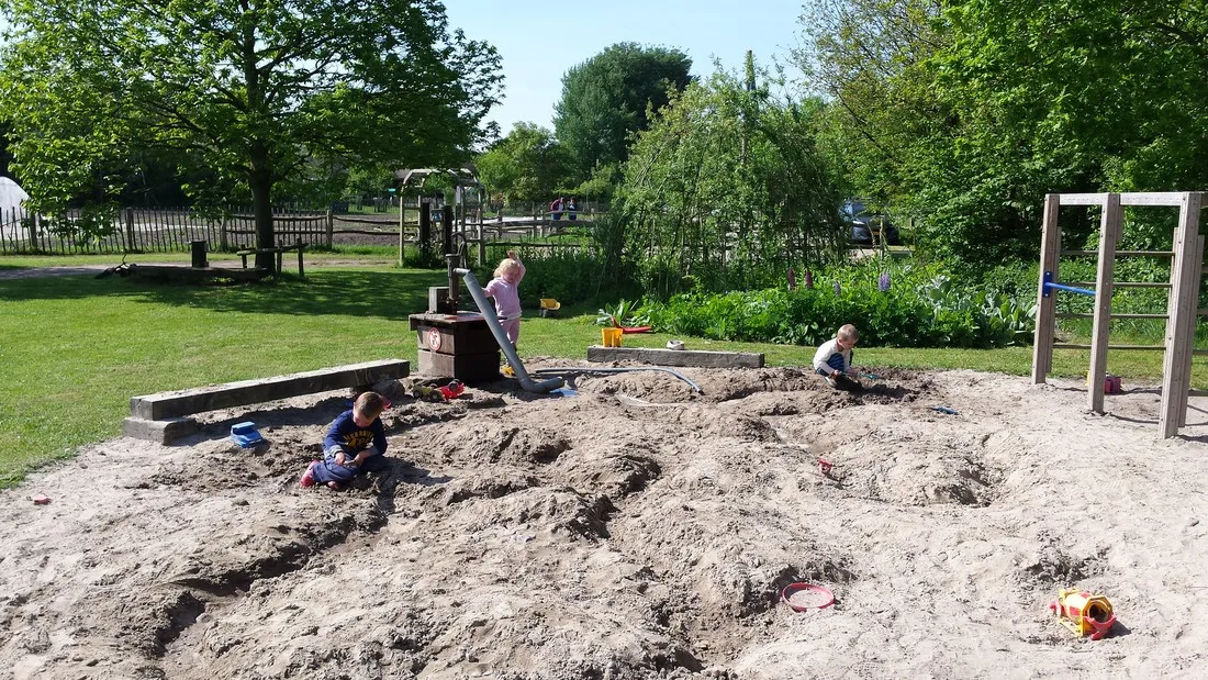 natuurkampeerterrein-de-duiventoren-dorst-djdfg