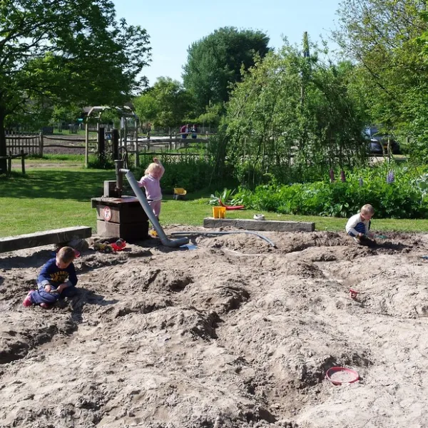 natuurkampeerterrein-de-duiventoren-dorst-djdfg