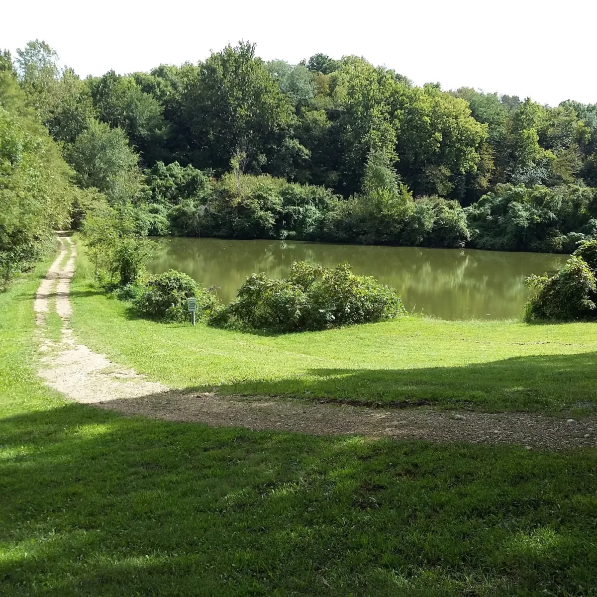 basswood-resort-platte-city-ga8an
