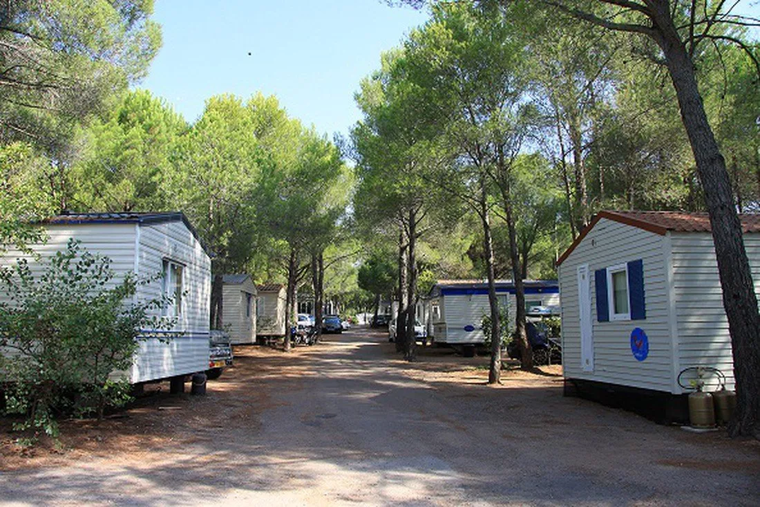 la-baumela-palmeraie-frejus-ar5zb