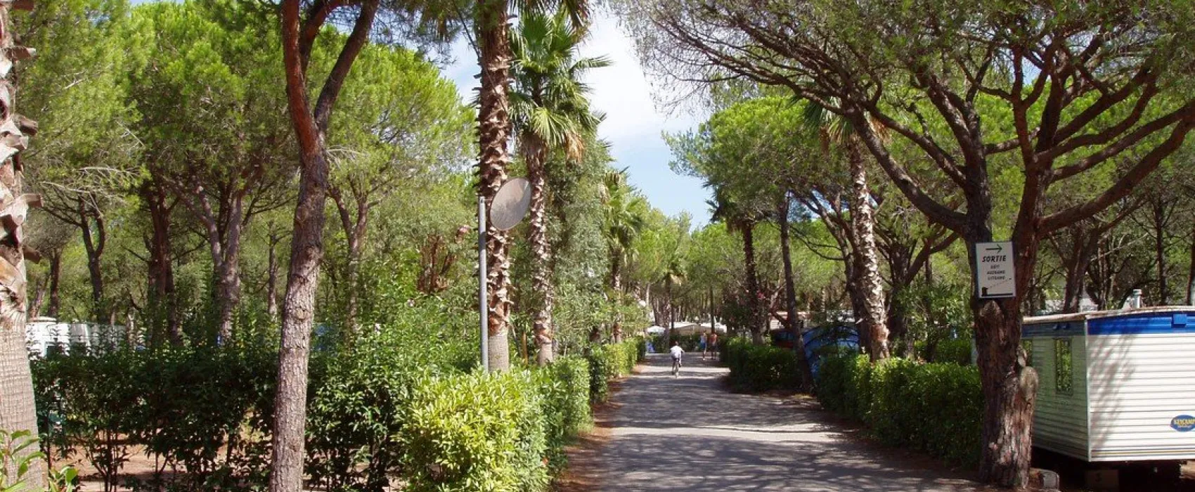 La Baume/La Palmeraie