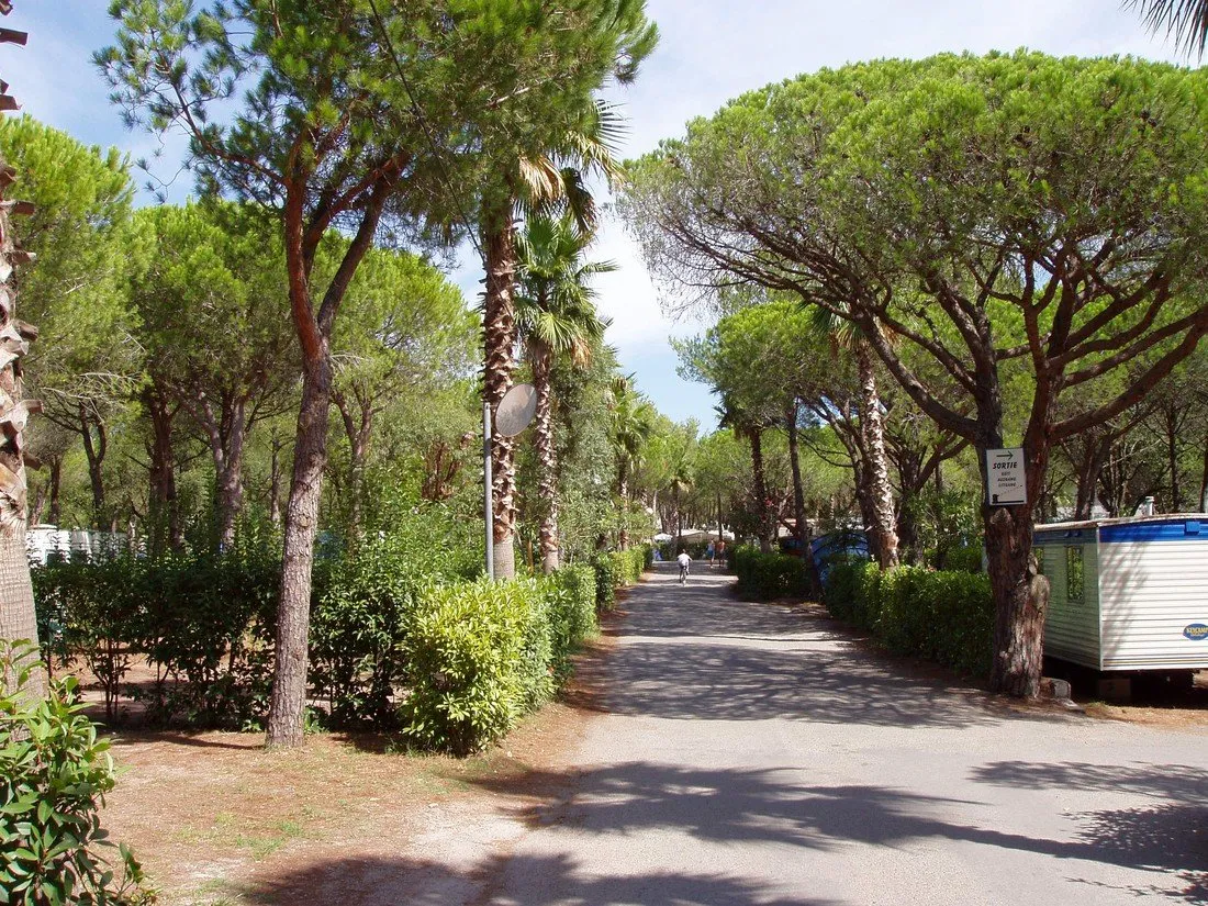 la-baumela-palmeraie-frejus-zxsrn