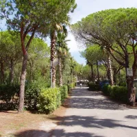 la-baumela-palmeraie-frejus-zxsrn
