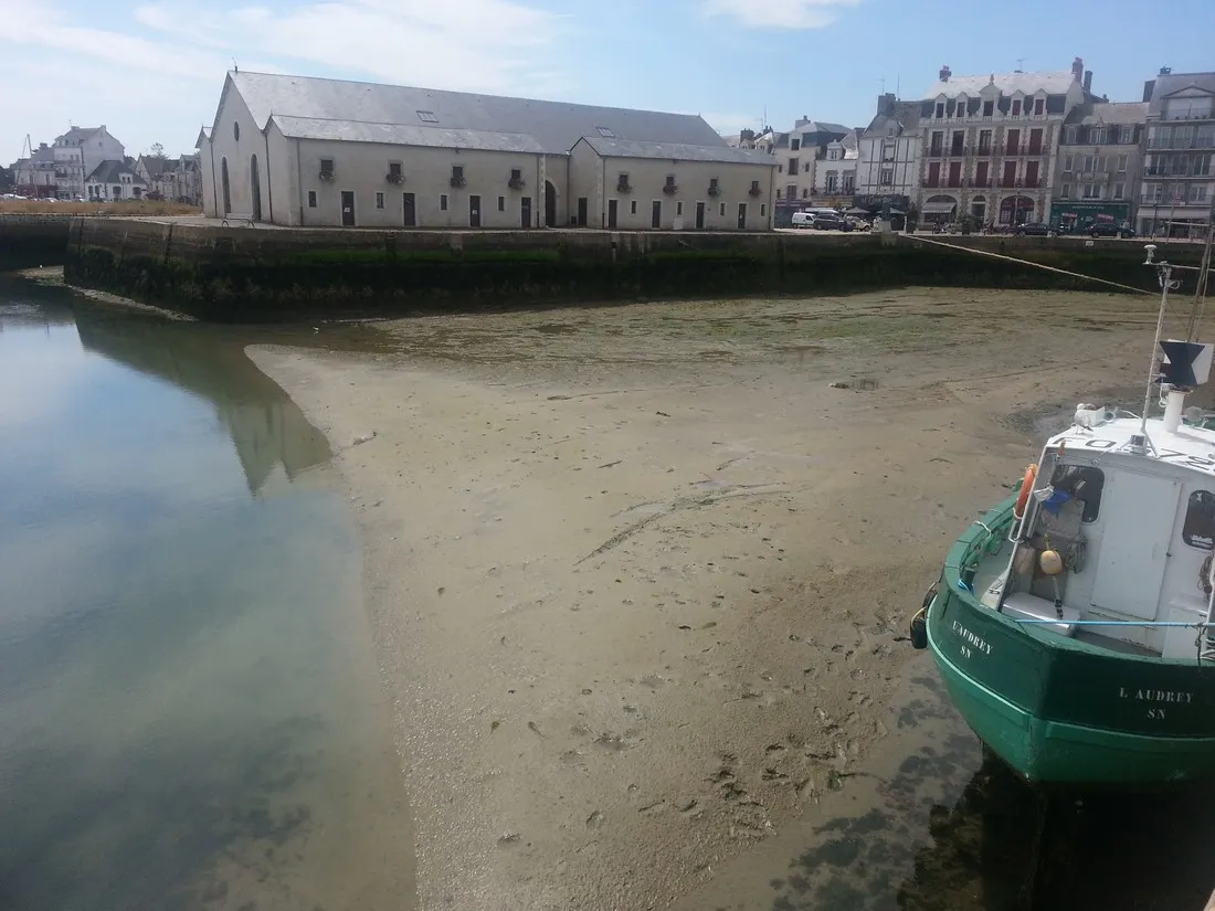 locean-le-croisic-loire-atlantique-2ab8o