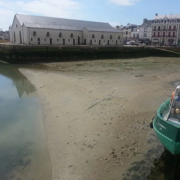 locean-le-croisic-loire-atlantique-2ab8o
