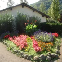 municipal-les-cyclamens-chancia-nvtxl