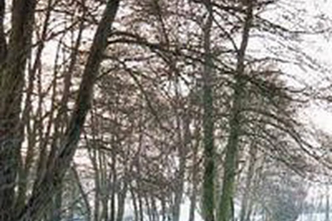 aire-naturelle-de-camping-a-la-ferme-etrigny-mjx6m